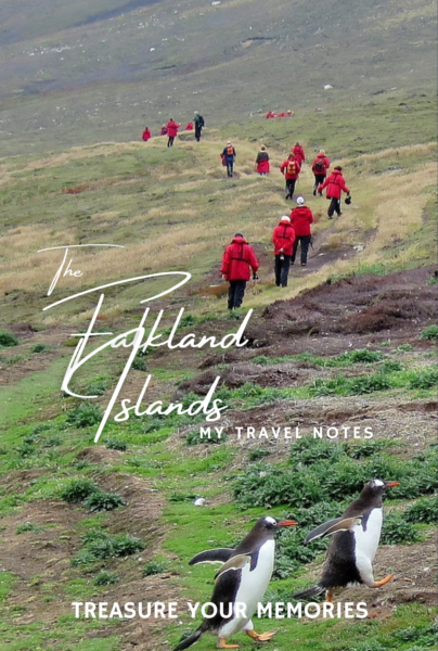 The Falkland Islands - My Travel Notebook