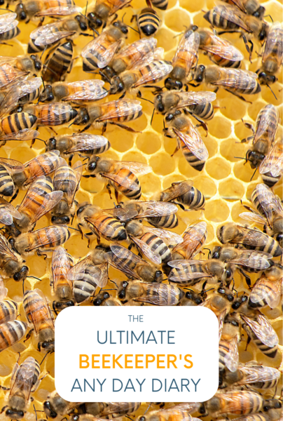 The Ultimate Beekeeper's Any Day Diary