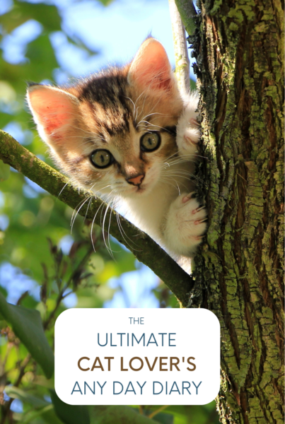 The Ultimate Cat Lover's Any Day Diary