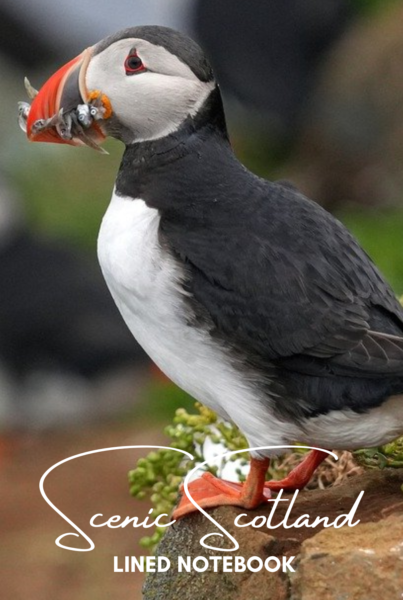 Scenic Scotland - Puffin - Lined Notebook